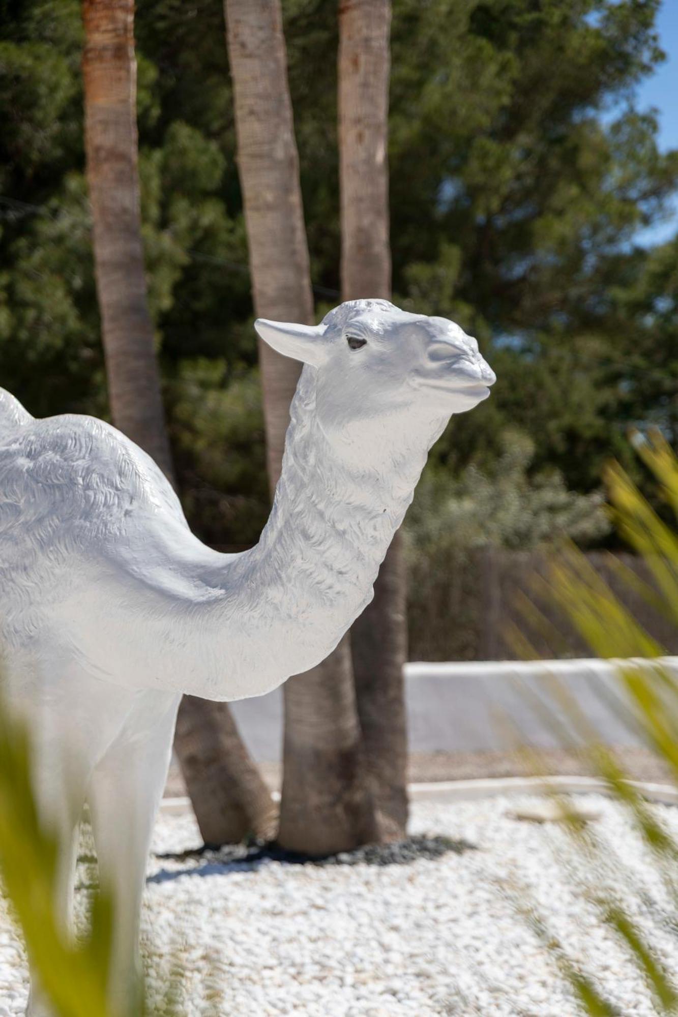 Villa Nivaria Sant Jordi de ses Salines Ngoại thất bức ảnh